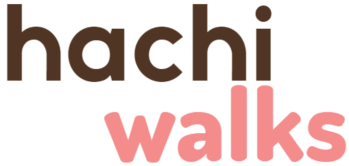 hachi walks